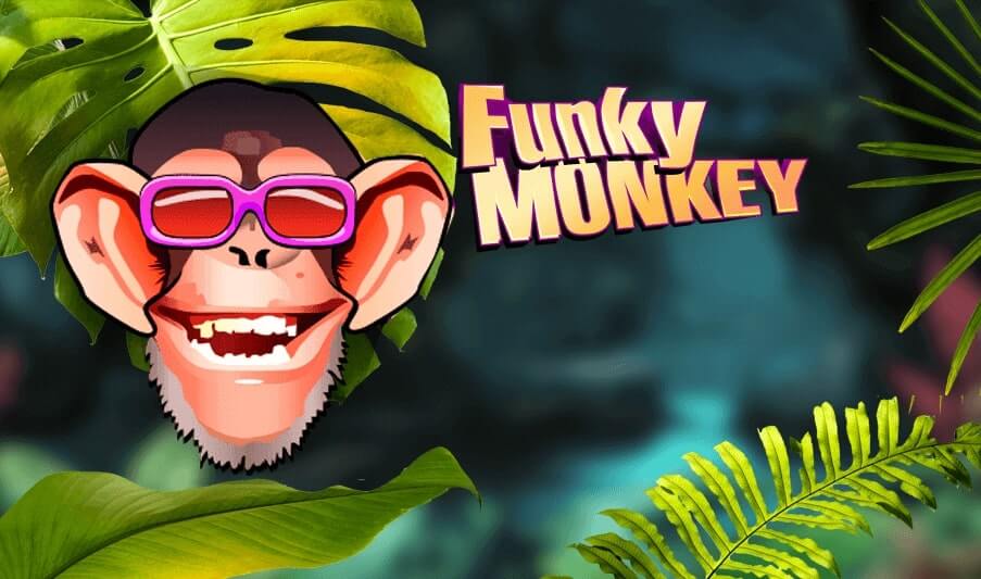 Funky Monkey
